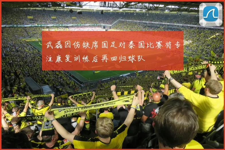 武磊因伤缺席国足对泰国比赛将专注康复训练后再回归球队