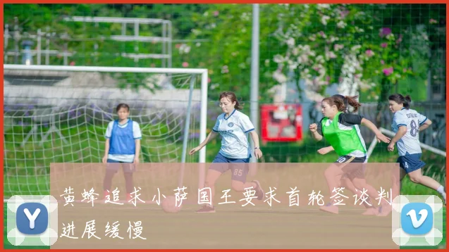 黄蜂追求小萨国王要求首轮签谈判进展缓慢